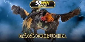 da-ga-campuchia
