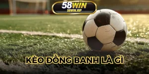 keo-dong-banh-la-gi